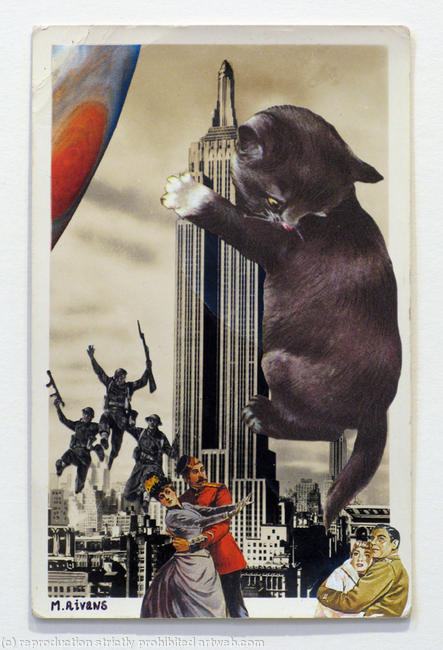 Escape of the Giant Pussy