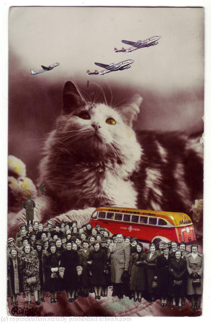 Day Trippers