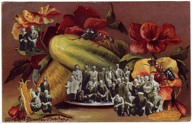 Giant Vegetable Society