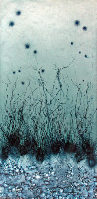 Perception II