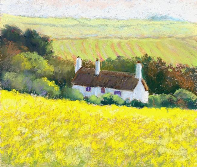 Summer's Yellow