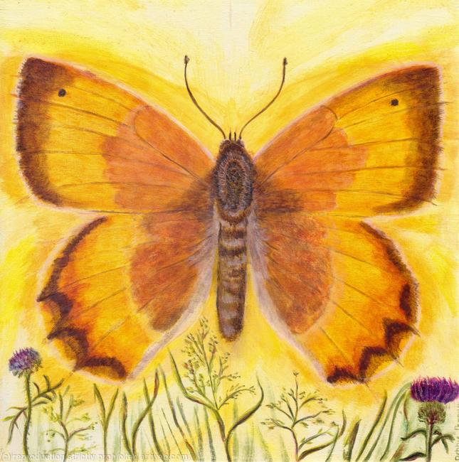 Small Heath by Debbie Perry
