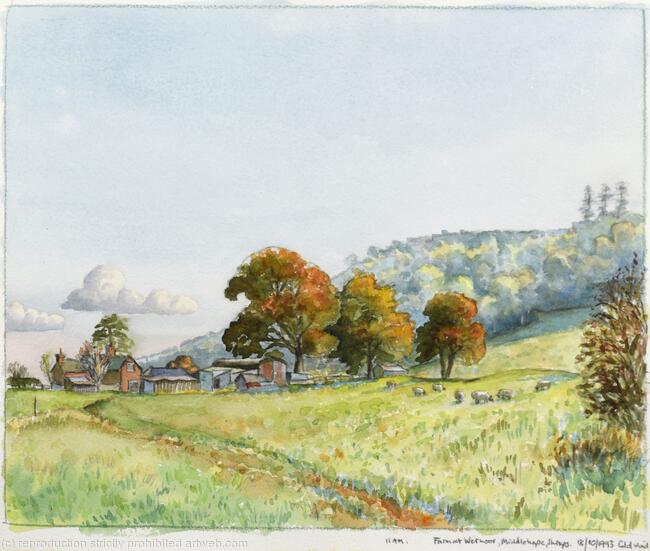276 Farm at Wetmoor, Middlehope, Shrops. 11am. -18.10.1993