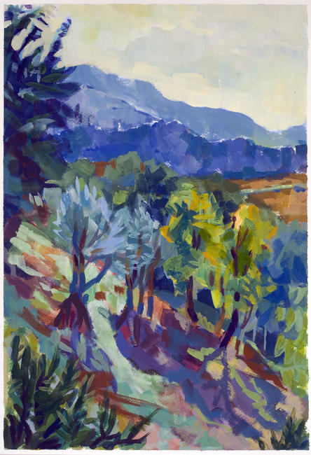 Morning Hillside, Olives and Acacia