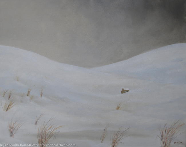 Kinbrace Winter 3
