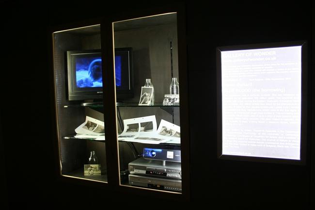 Blue Blood - installation shot, Hancock Museum, Newcastle