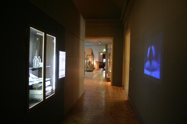 Blue Blood (the borrowing) installation shot, Hancock Museum, Newcastle