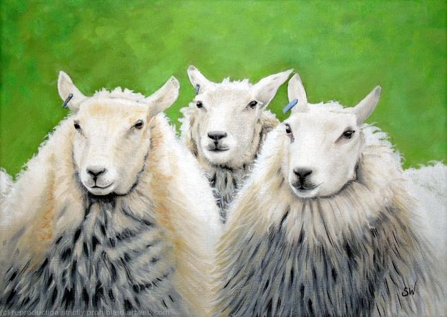 Sheep, Oil Painting