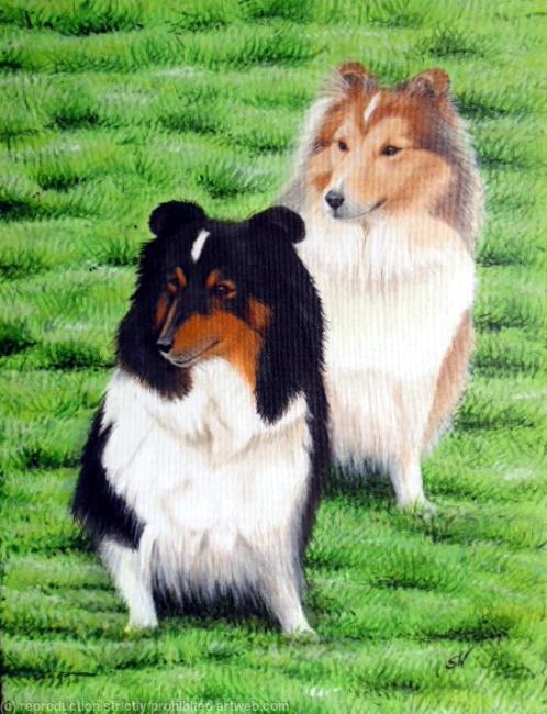 Shadow and Sunny