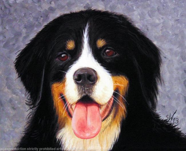 Bernese Mountain Dog, Painting