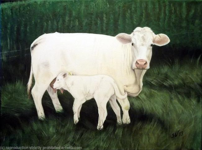 Charolais Cow with Calf, Oil Painting