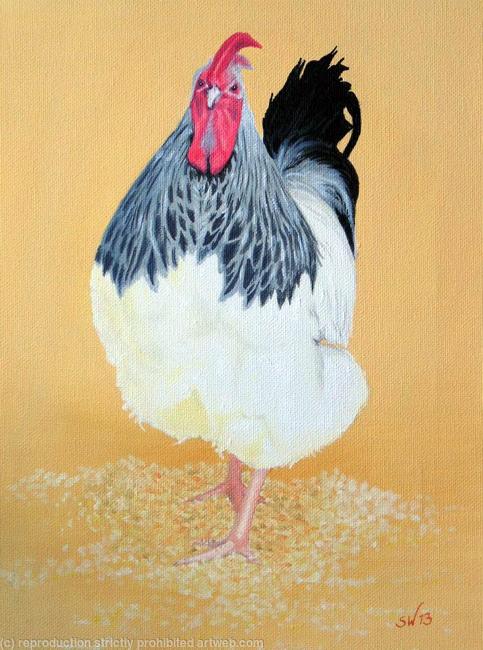 Wyandotte Rooster, Painting