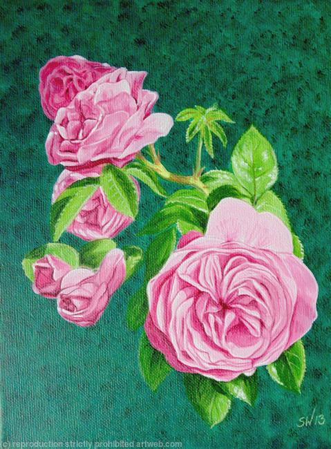 Pink Roses