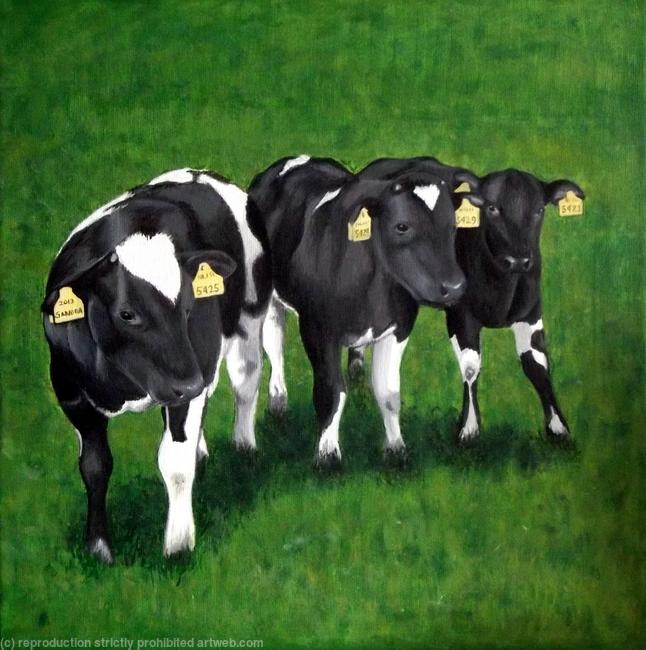 Belgian Blue Calves, Painting