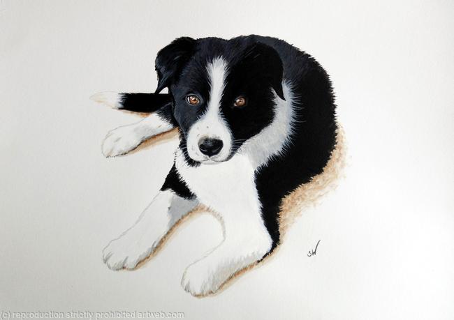 Collie Pup, Painting