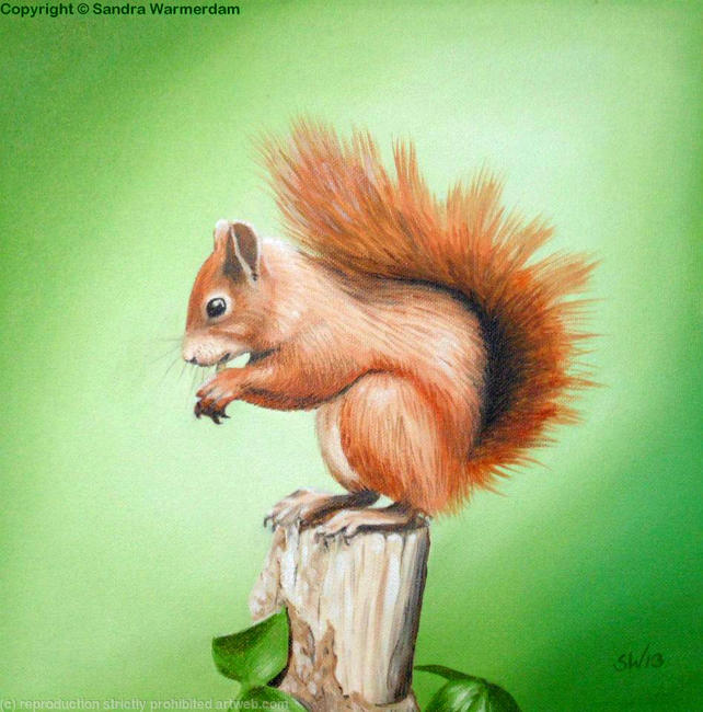 Red Squirrel on Post