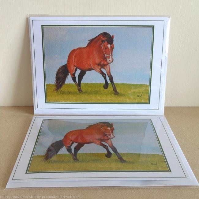Running Horse Greeting Card