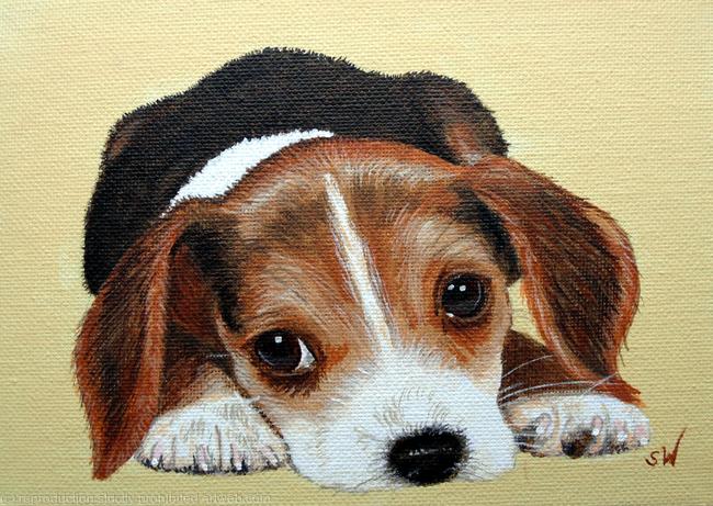 Beagle Puppy, Mini Painting