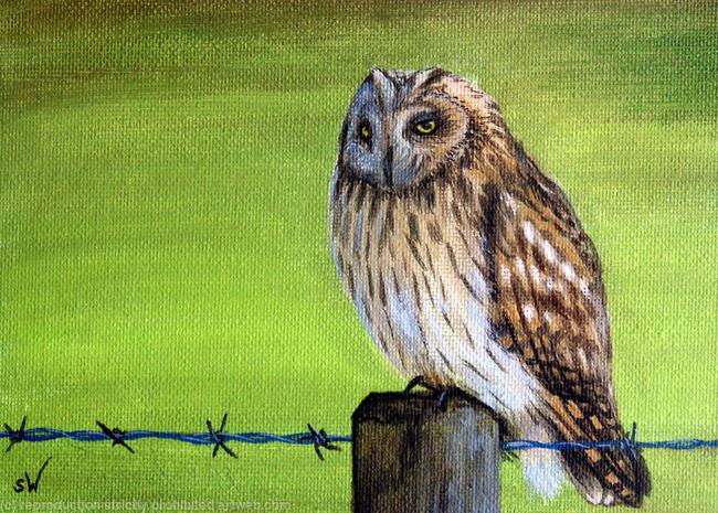 Owl on Fence, Mini Painting