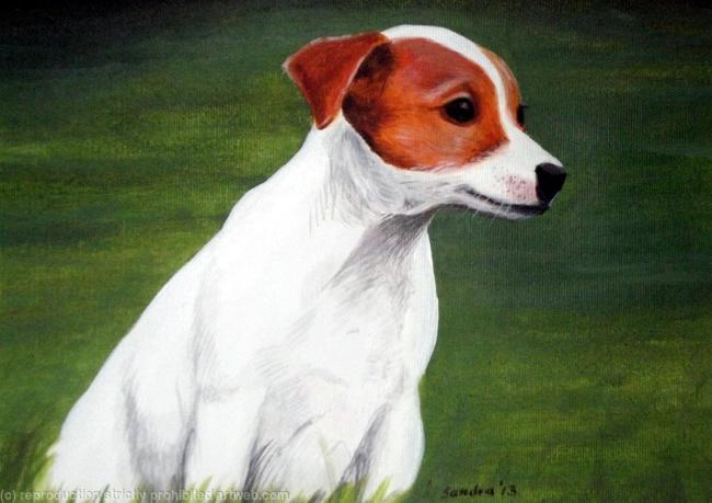 Jack Russell in Grass, Painting