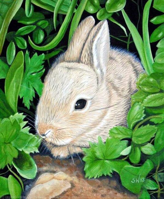 Rabbit, Oil Painting