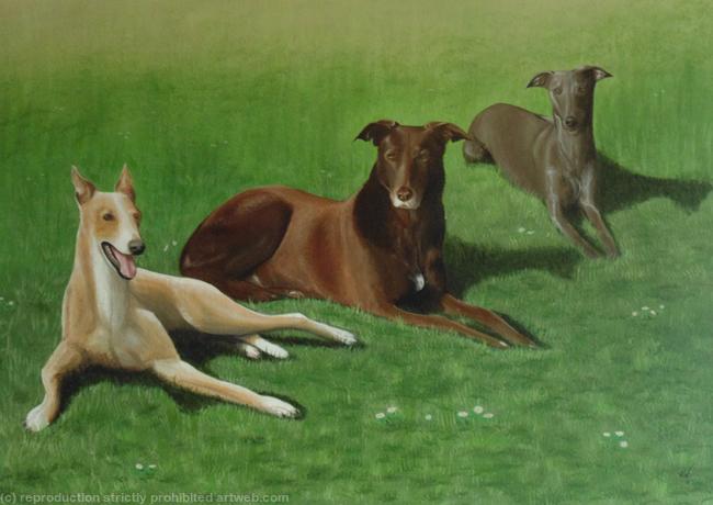 Janner, Grace and Blue