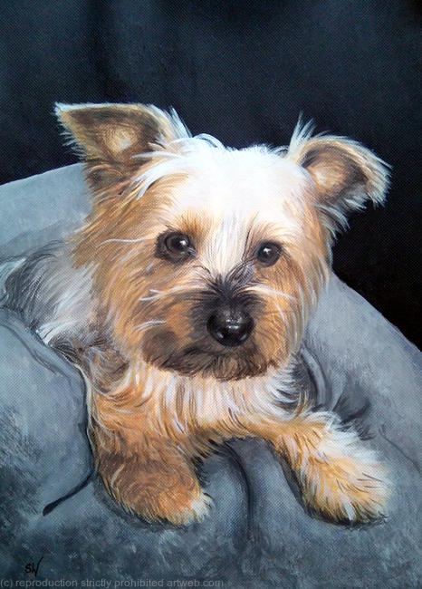 Molly
