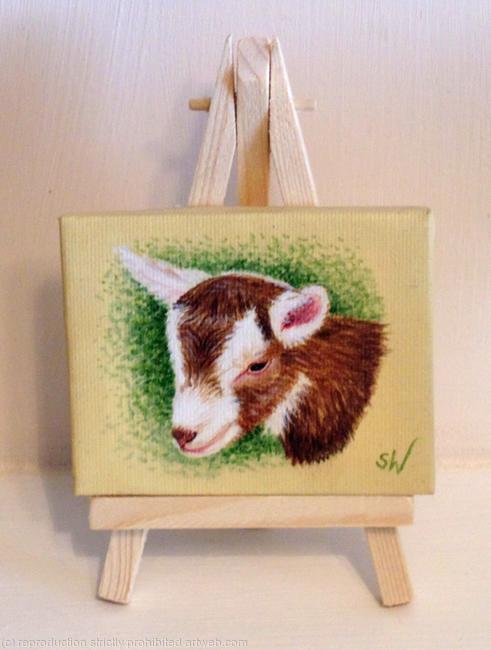 Baby Goat