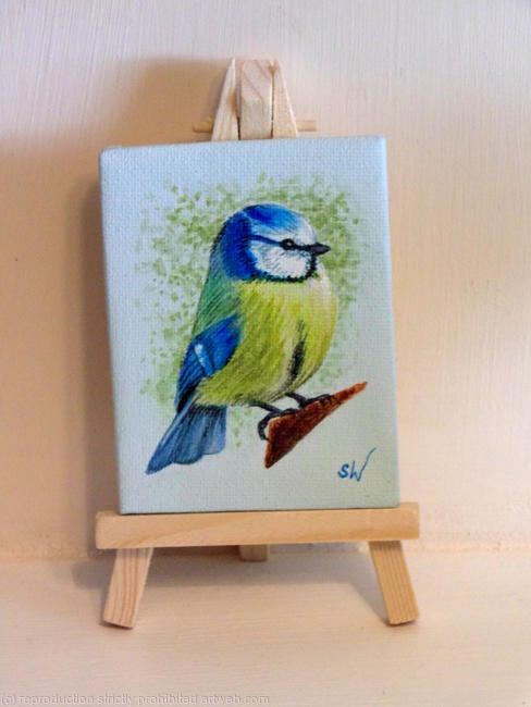 Blue Tit