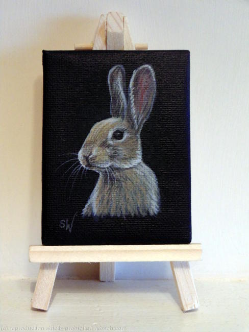 Rabbit
