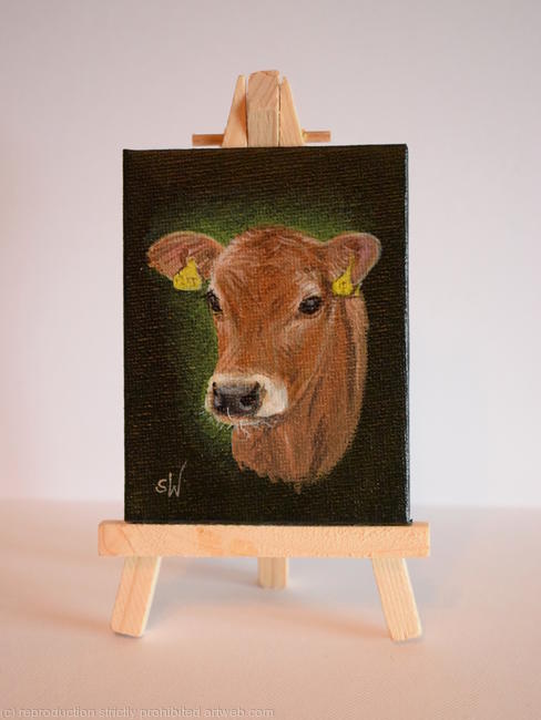 Jersey Cow
