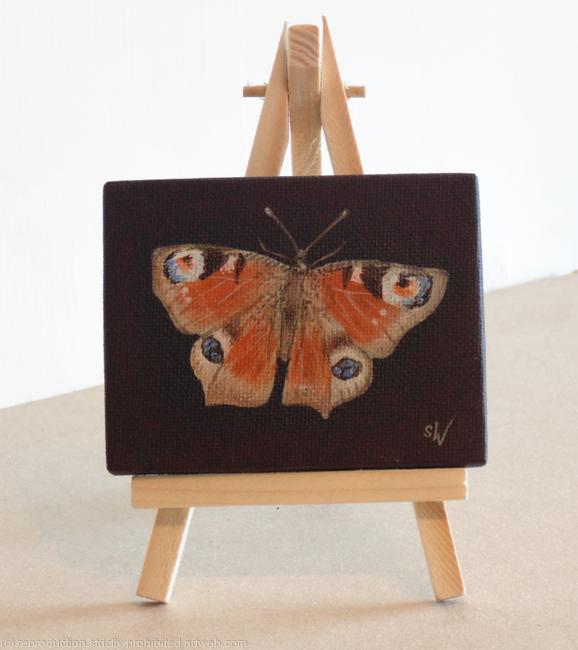Peacock Butterfly