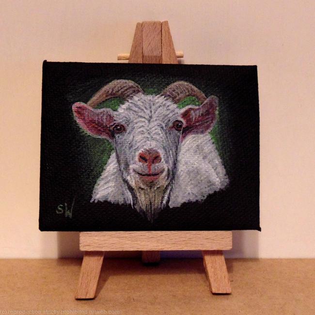 White Goat