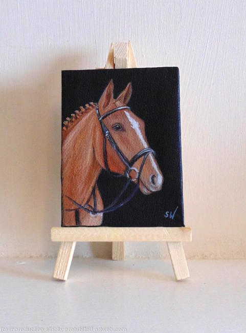Riding Horse