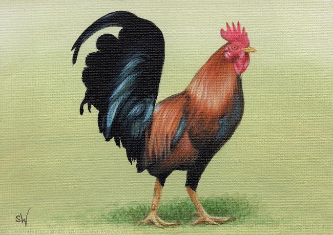 Cockerel Mini Painting