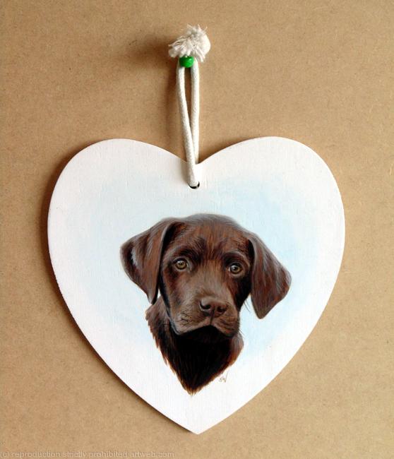 Chocolate Labrador Puppy
