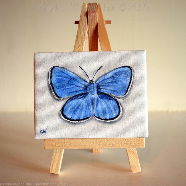 Icarus Butterfly