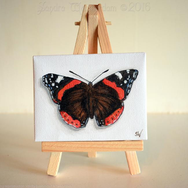 Atalanta Butterfly