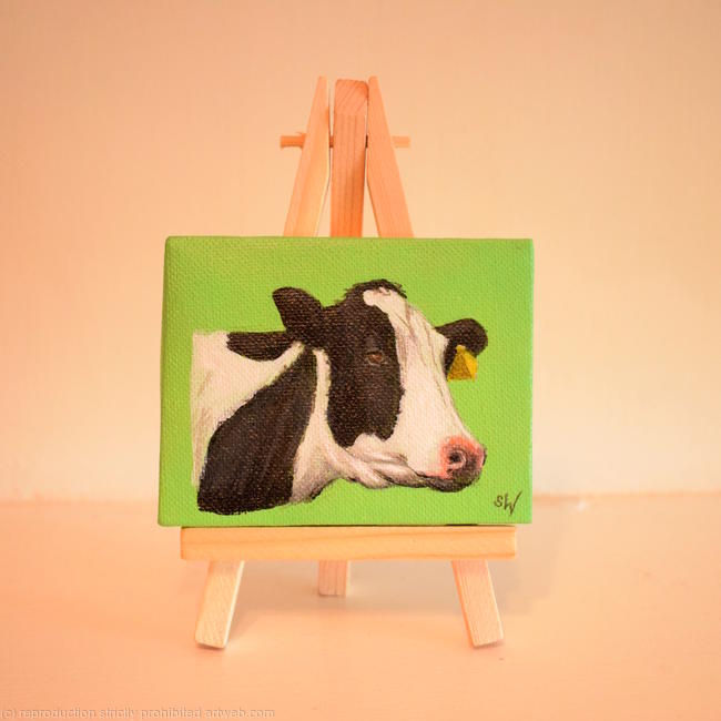 Holstein Cow