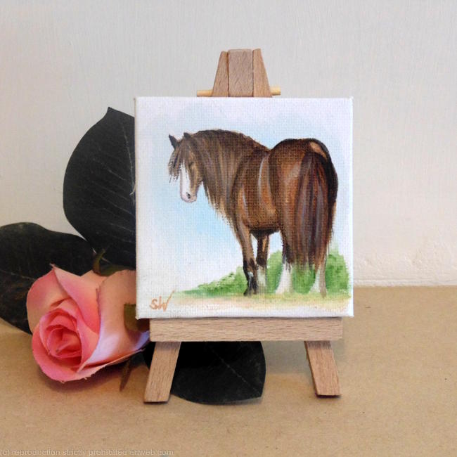 Shire Horse
