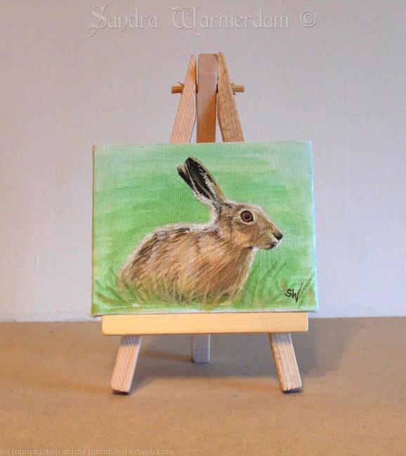 Hare in Grass