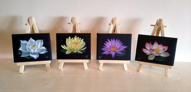 Lotus Flowers, Set of 4
