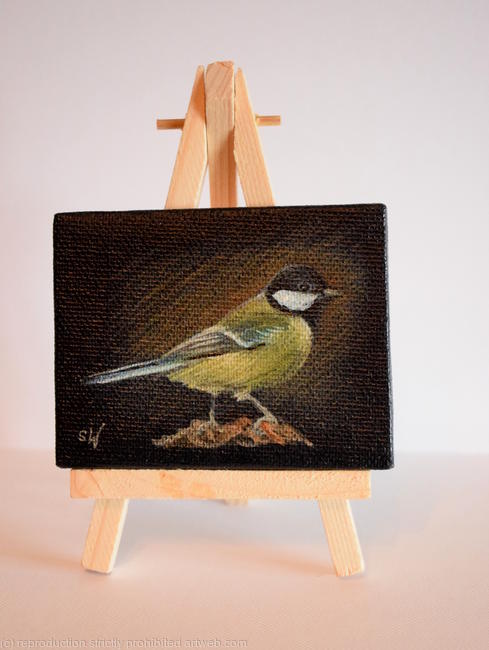 Common Tit