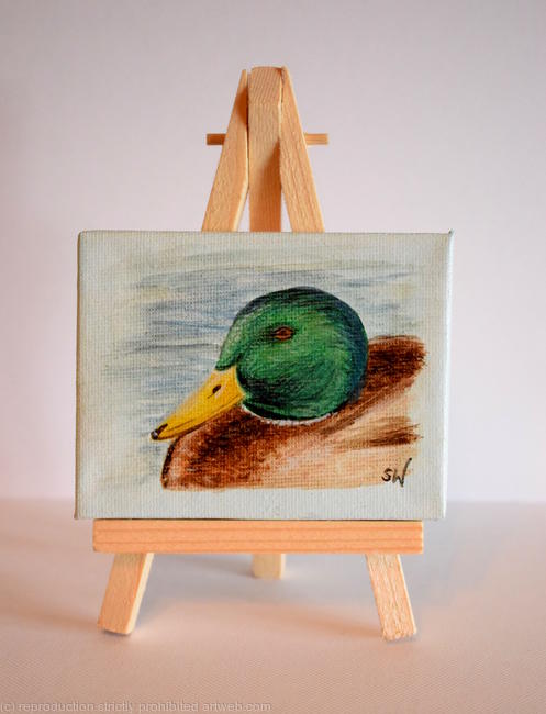 Duck