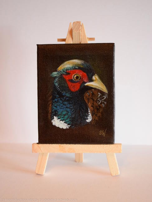 Pheasant
