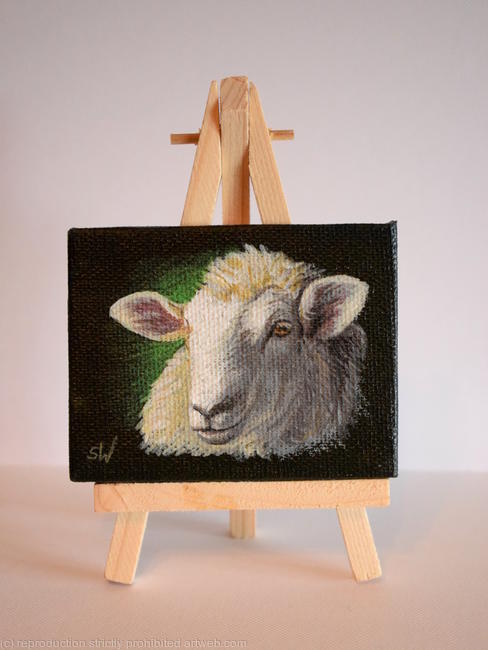 Sheep