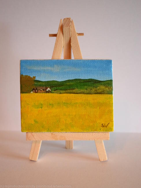 Rapeseed Field