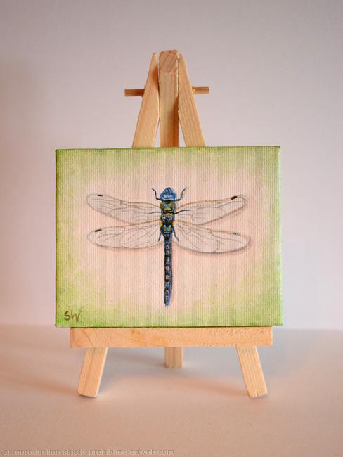 Dragonfly (Blue)