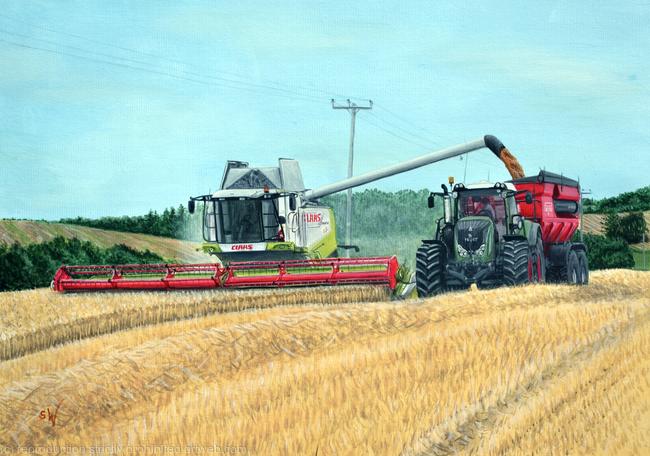 Harvest 2016