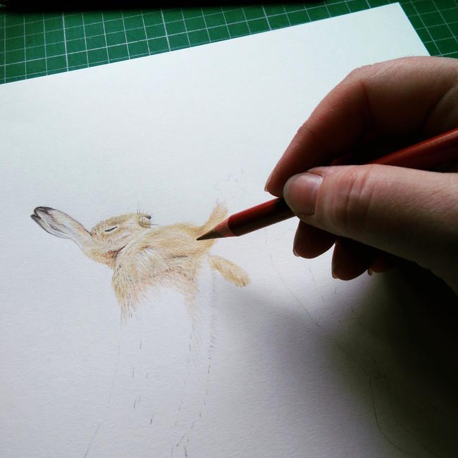 Progress Hares